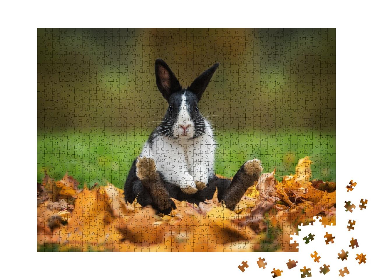 Puzzle de 1000 pièces « Petit lapin rigolo assis dans les feuilles d'automne »