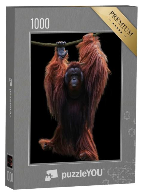Puzzle de 1000 pièces « Orang-outan suspendu à une corde »