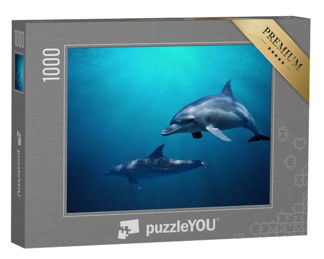 Puzzle de 1000 pièces « Deux dauphins nagent dans une eau bleue »