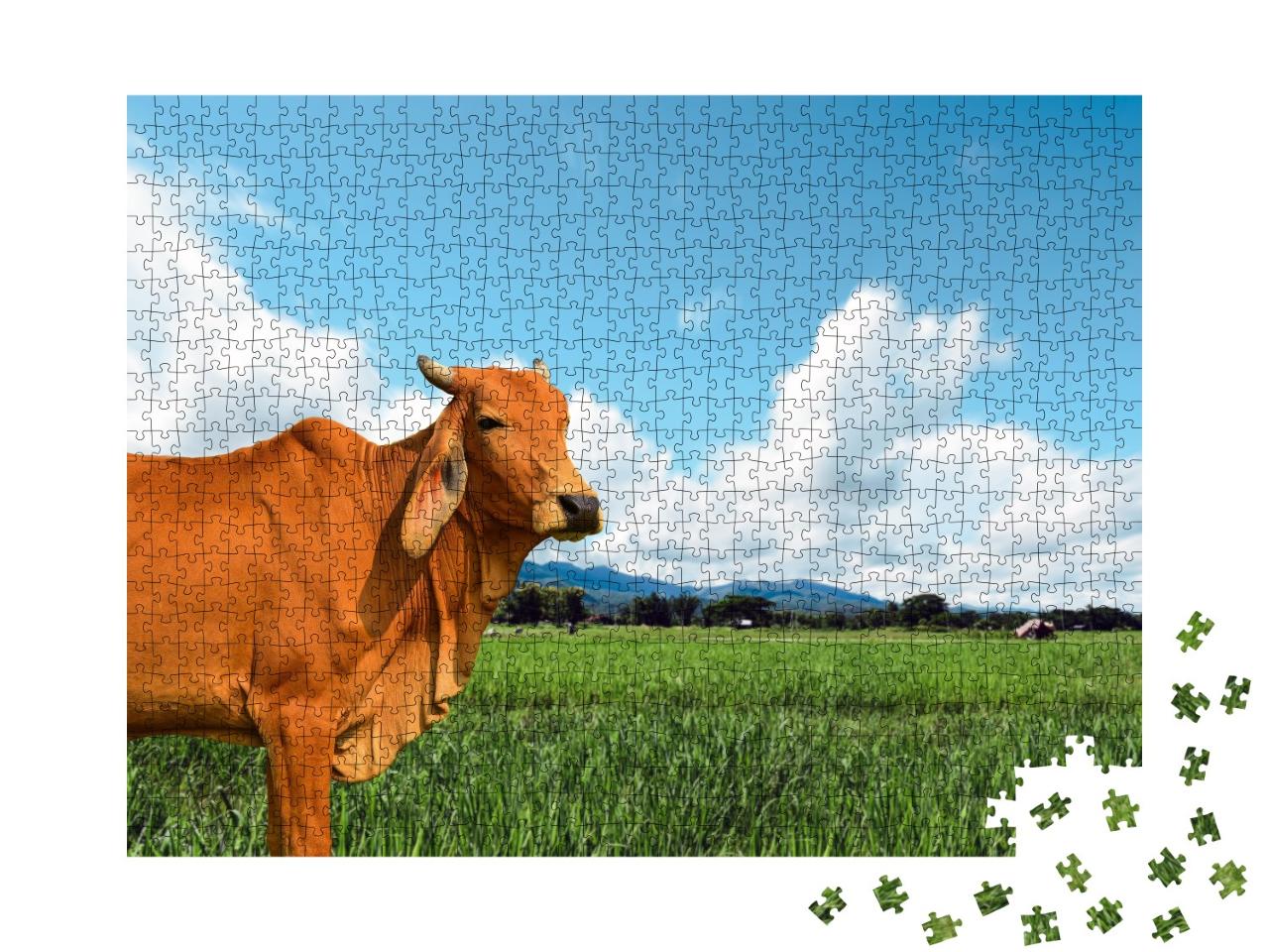 Puzzle de 1000 pièces « Vache dans un pâturage vert et juteux »