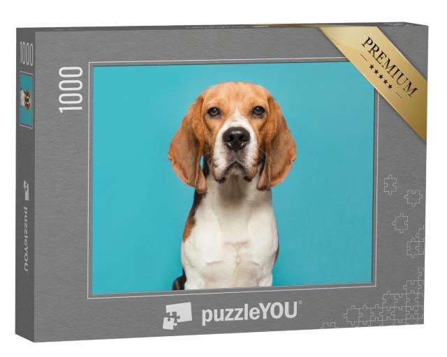 Puzzle de 1000 pièces « Portrait d'un beagle »