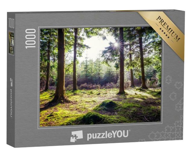 Puzzle de 1000 pièces « Forêt idyllique à Ladock, Cornouailles, Angleterre »