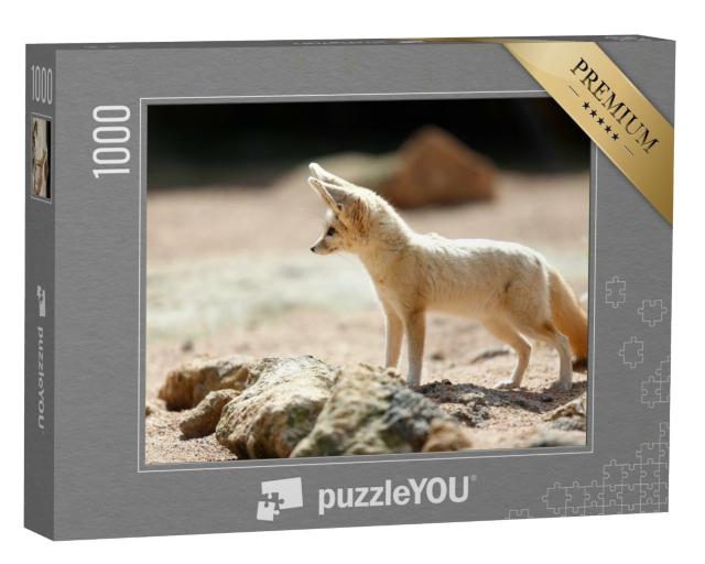 Puzzle de 1000 pièces « Le renard fennec, également connu sous le nom de renard du désert »
