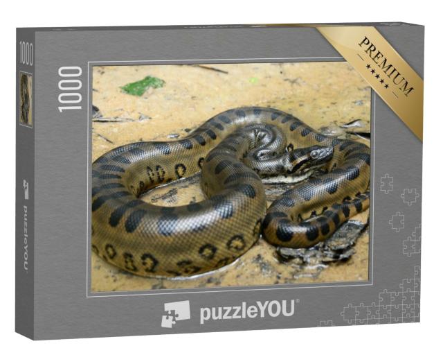 Puzzle de 1000 pièces « Anaconda vert »
