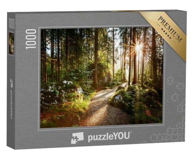 Puzzle de 1000 pièces « Paysage et chemin à travers la forêt au soleil du matin »