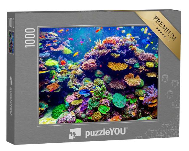 Puzzle de 1000 pièces « Aquarium de Singapour - Coraux et poissons tropicaux »