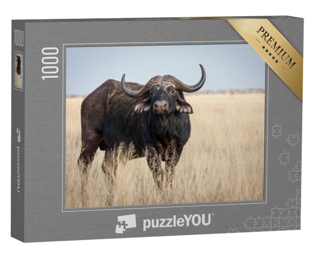 Puzzle de 1000 pièces « Un grand vieux buffle du Cap sur une plaine herbeuse »