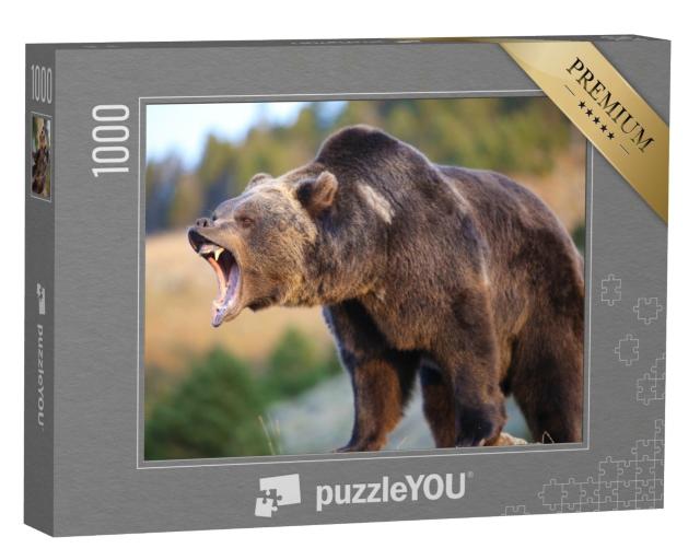 Puzzle de 1000 pièces « Ours brun d'Amérique du Nord, grizzly »