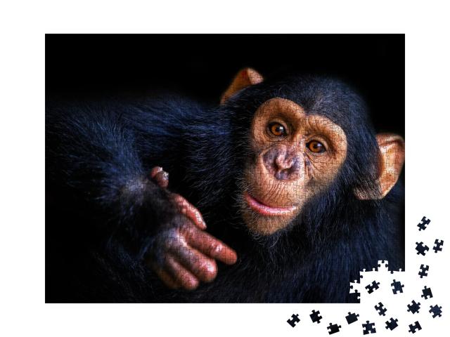 Puzzle de 1000 pièces « Chimpanzé »