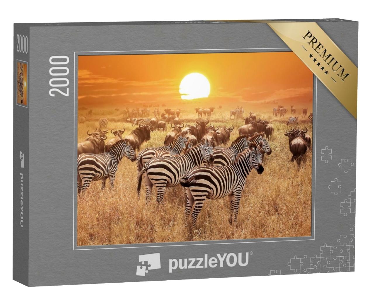 Puzzle de 2000 pièces « Zèbre au coucher du soleil dans le parc national du Serengeti, Afrique, Tanzanie »