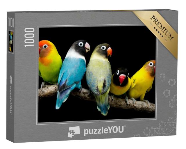 Puzzle de 1000 pièces « Perroquet aux couleurs magnifiques »