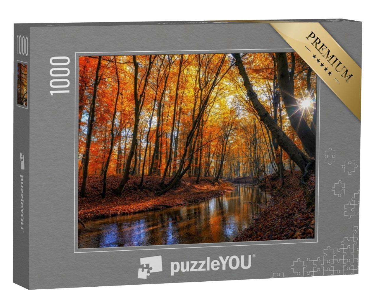 Puzzle de 1000 pièces « Paysage forestier automnal avec des feuilles colorées et une rivière »