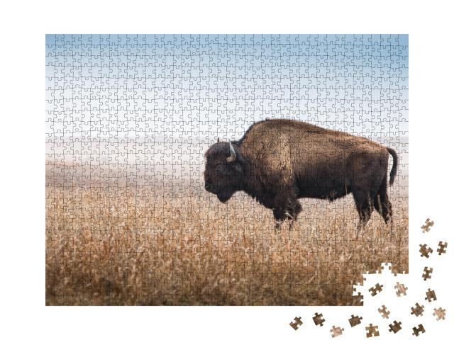 Puzzle de 1000 pièces « Bison américain, buffle »
