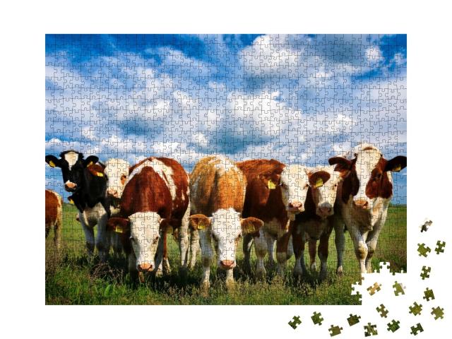 Puzzle de 1000 pièces « Vaches dans une verte prairie d'été »