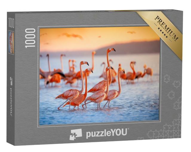 Puzzle de 1000 pièces « Flamants roses »