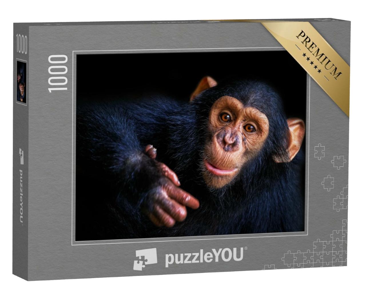 Puzzle de 1000 pièces « Chimpanzé »