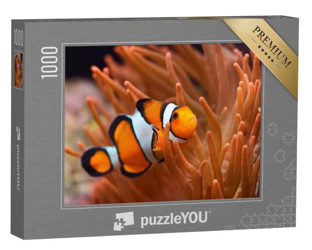 Puzzle de 1000 pièces « Poisson-clown dans un aquarium d'eau de mer »
