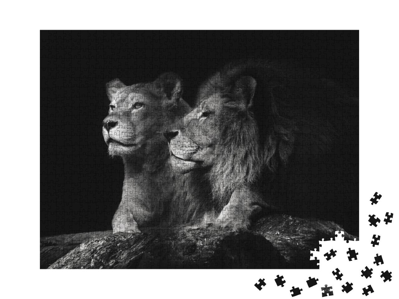 Puzzle de 1000 pièces « Un couple de lions »