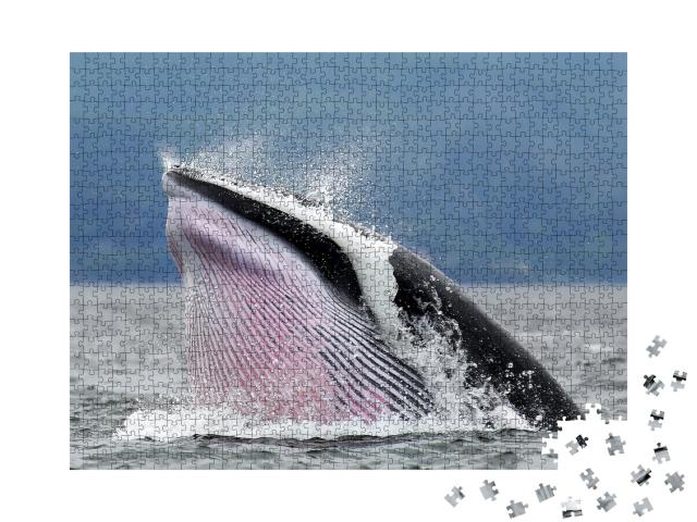 Puzzle de 1000 pièces « Baleine de Minke à Tadoussac Québec »