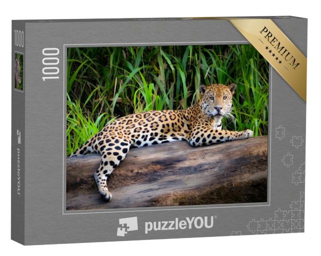Puzzle de 1000 pièces « Un jaguar en Amazonie péruvienne »