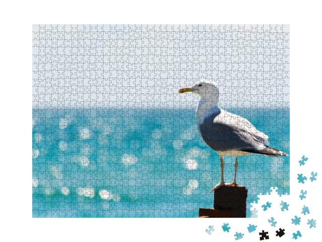 Puzzle de 1000 pièces « Mouette de mer au bord de la mer »