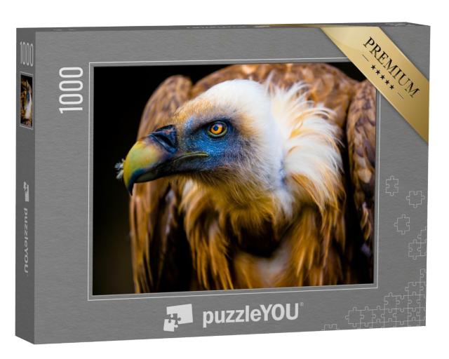 Puzzle de 1000 pièces « Portrait d'un jeune vautour »