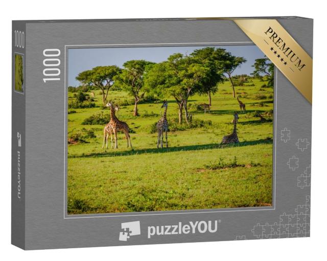 Puzzle de 1000 pièces « Nature et faune dans le parc de Murchison Falls, Ouganda, Afrique »