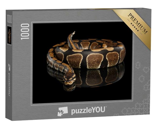 Puzzle de 1000 pièces « Python royal »