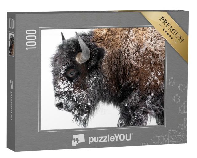 Puzzle de 1000 pièces « Des bisons d'Europe en route vers la neige »