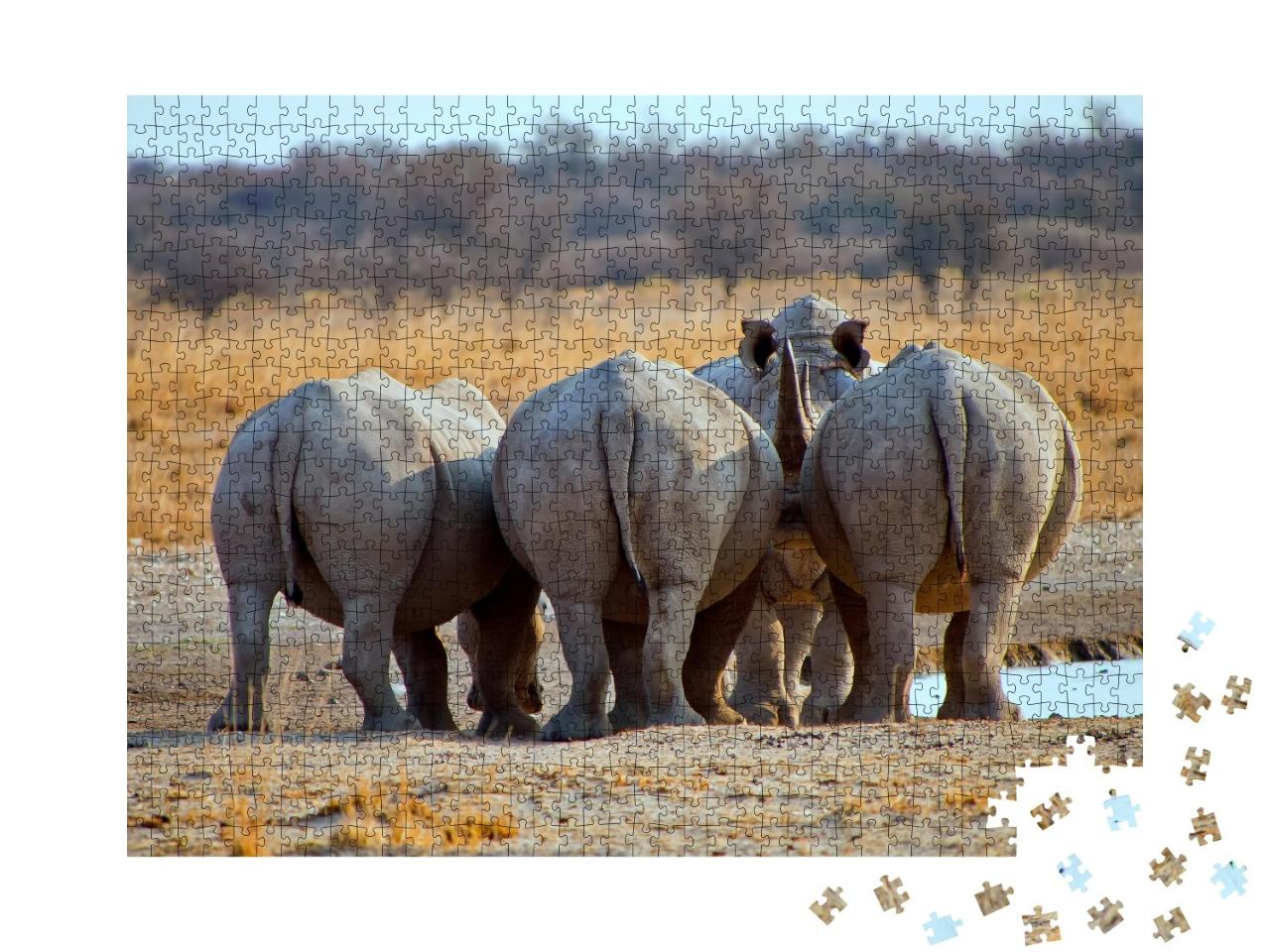 Puzzle de 1000 pièces « Trois rhinocéros blancs, Botswana Afrique »