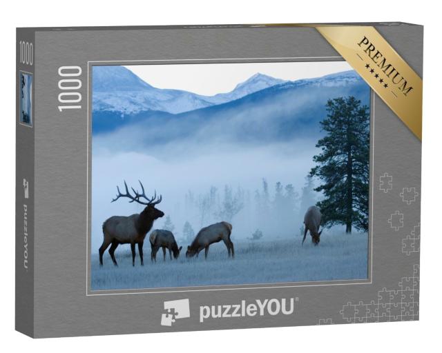 Puzzle de 1000 pièces « Bull d'élan et vaches, Rocky Mountains »