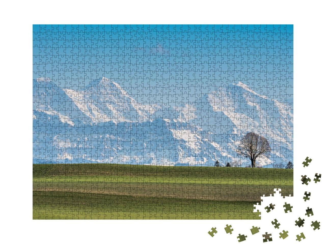 Puzzle de 1000 pièces « Arbre devant l'Eiger, le Mönch et la Jungfrau par une belle journée de printemps »
