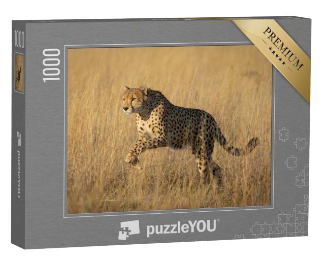 Puzzle de 1000 pièces « Étude d'un guépard bondissant à Savuti, Botswana »