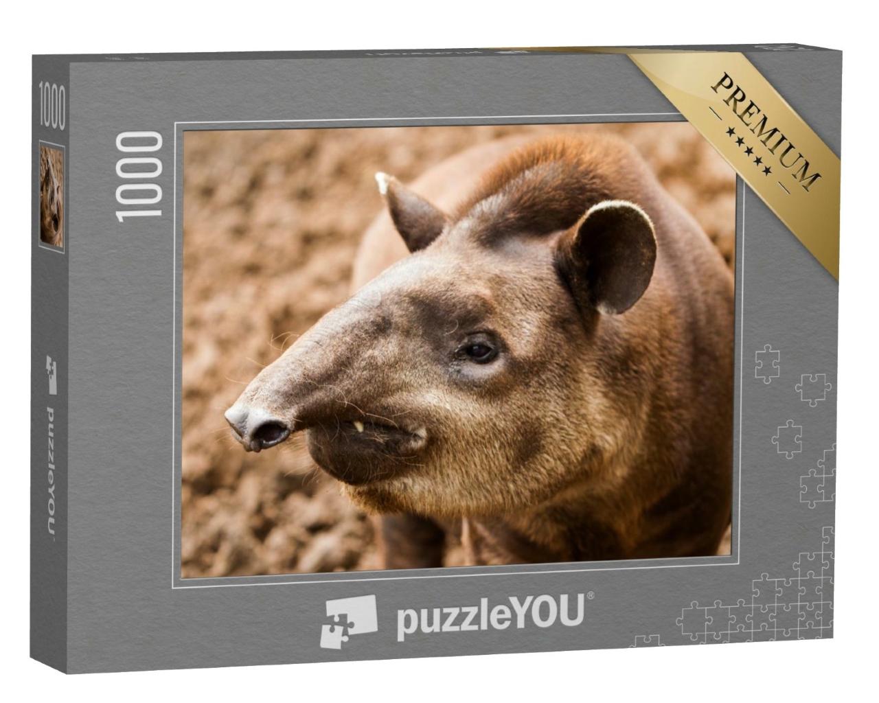 Puzzle de 1000 pièces « Gros plan sur un tapir en Équateur »