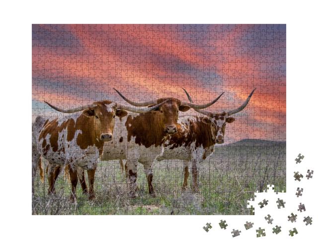 Puzzle de 1000 pièces « Bovins Texas-Langhorn dans un pâturage de l'Oklahoma Panhandle »