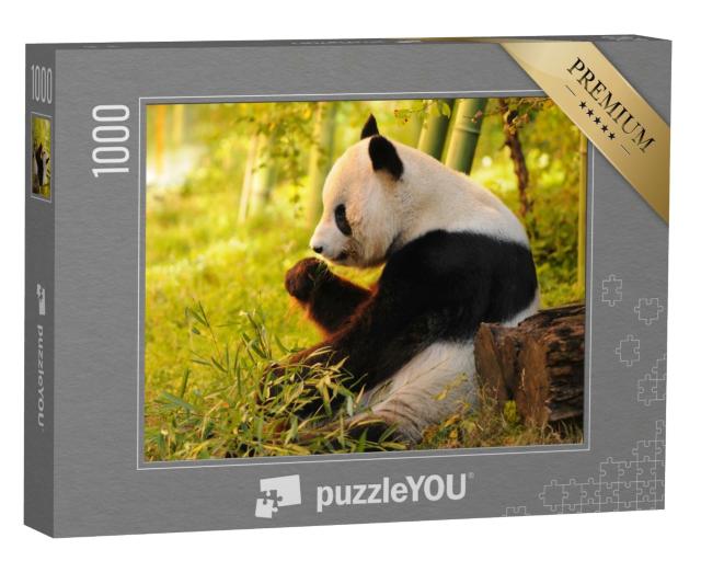 Puzzle de 1000 pièces « Grand panda mangeant du bambou »