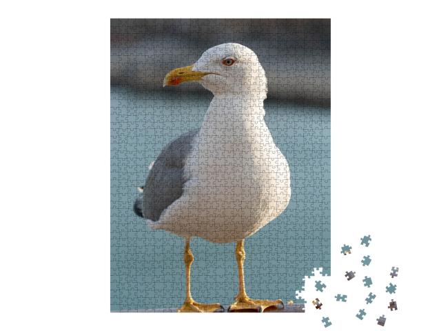 Puzzle de 1000 pièces « Goéland marin à plumes grises et blanches »