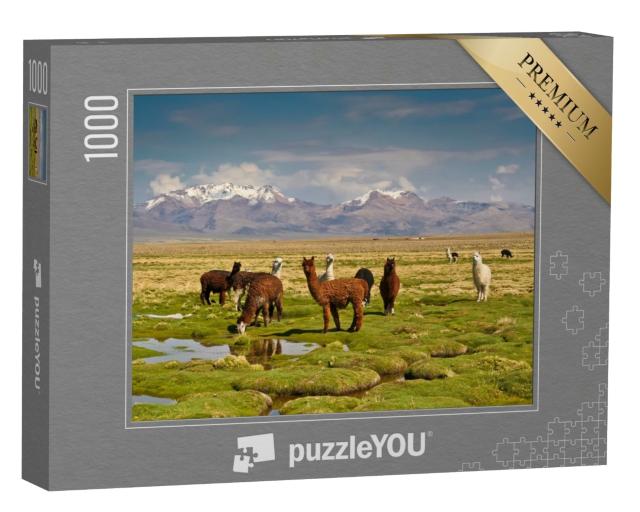 Puzzle de 1000 pièces « Les lamas dans les Andes »