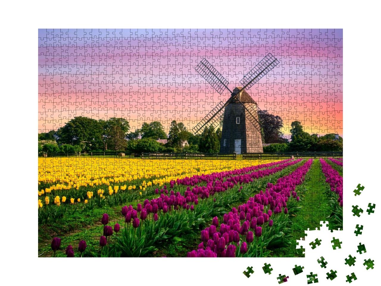 Puzzle de 1000 pièces « Moulin à vent dans un champ de tulipes avec des fleurs »