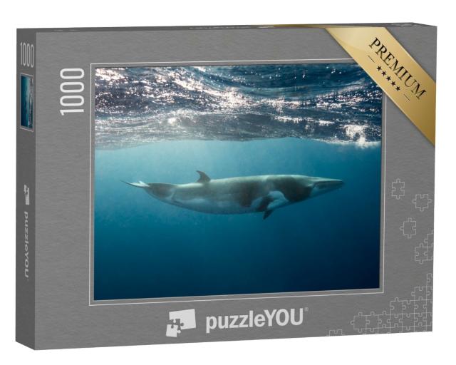 Puzzle de 1000 pièces « Petite baleine sur la Grande Barrière de Corail »