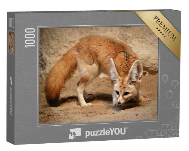 Puzzle de 1000 pièces « Le renard fennec à la chasse »