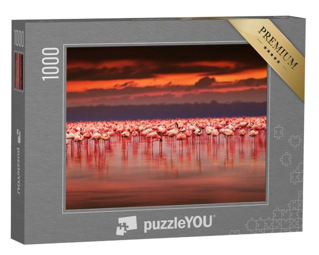 Puzzle de 1000 pièces « Spectaculaire coucher de soleil sur un groupe de flamants roses, Kenya »