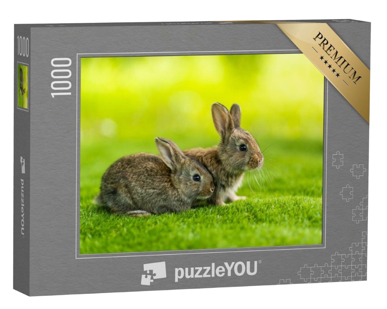 Puzzle de 1000 pièces « Deux petits lapins dans la prairie verte »