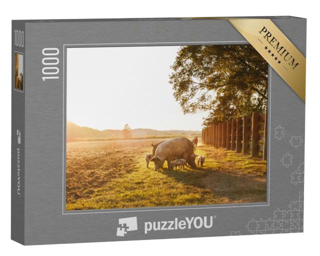Puzzle de 1000 pièces « Porc domestique avec porcelets dans une prairie »
