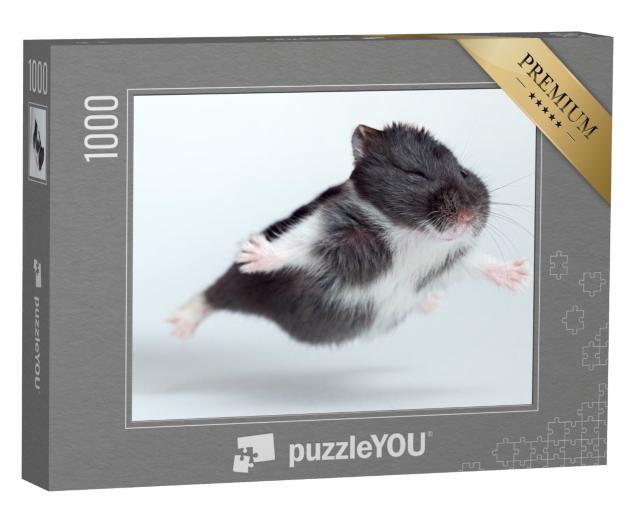 Puzzle de 1000 pièces « Drôle de hamster volant »
