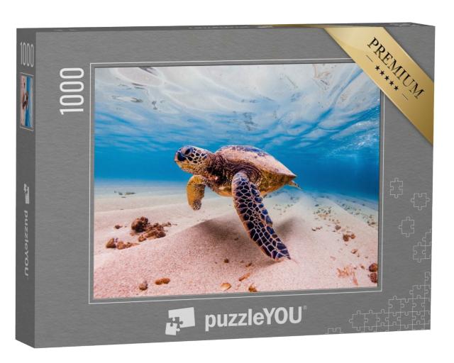 Puzzle de 1000 pièces « Tortue de mer verte, Hawaii, animal rare »