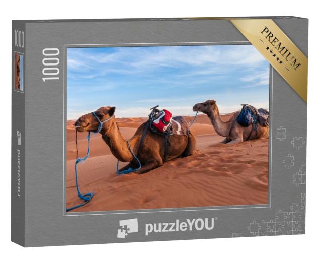 Puzzle de 1000 pièces « Caravane de chameaux dans le Sahara marocain »
