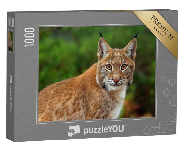 Puzzle de 1000 pièces « Le lynx d'Eurasie, portrait »