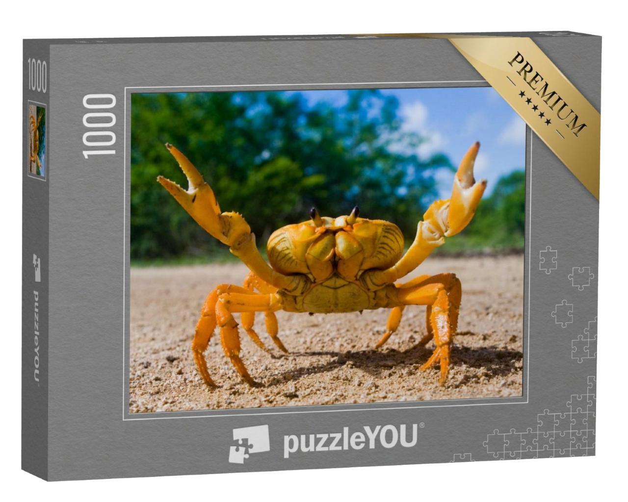Puzzle de 1000 pièces « Crabe terrestre jaune à Cuba »