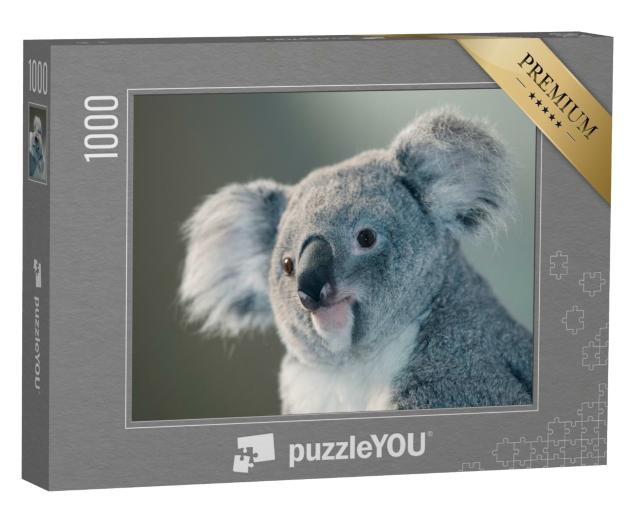 Puzzle de 1000 pièces « Portrait d'un koala »
